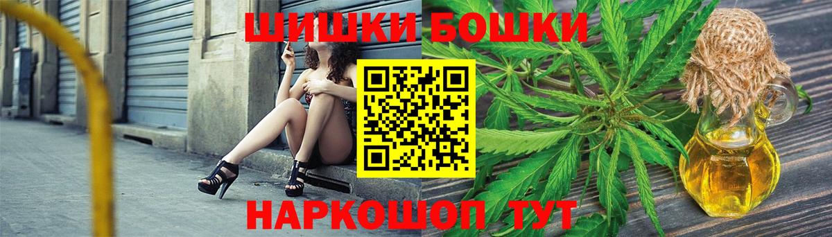 Бошки Шишки планчик Бор